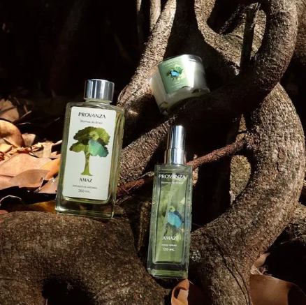 Como personalizar a experiência olfativa em sua casa com perfumes de ambiente?