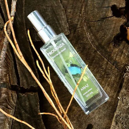 Como escolher perfumes de ambiente que complementam a sua decoração?